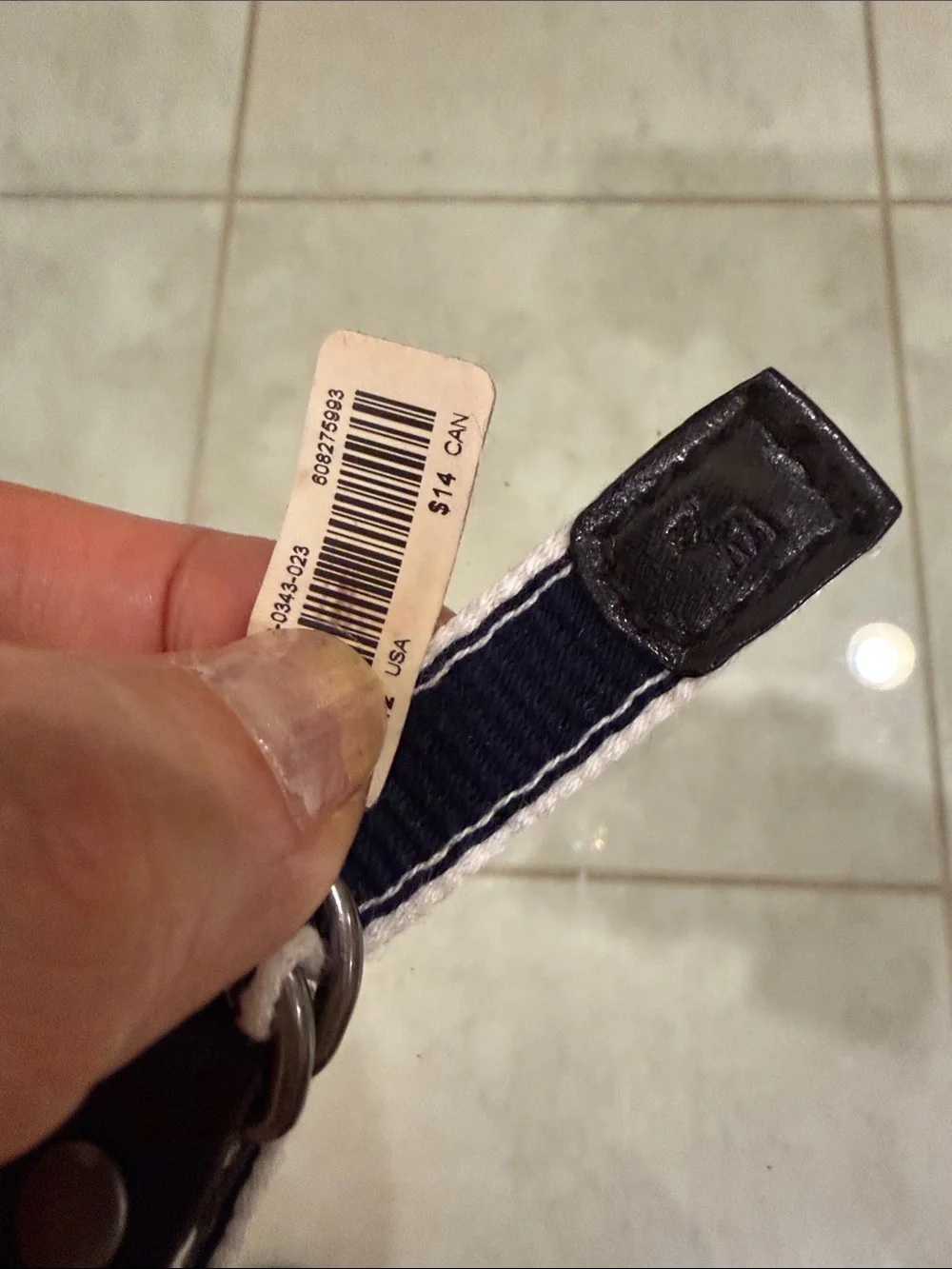 abercrombie kids Navy and White Webbing Belt with Brown Leather Accents